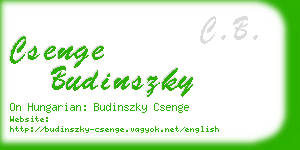 csenge budinszky business card